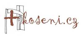 logo firmy